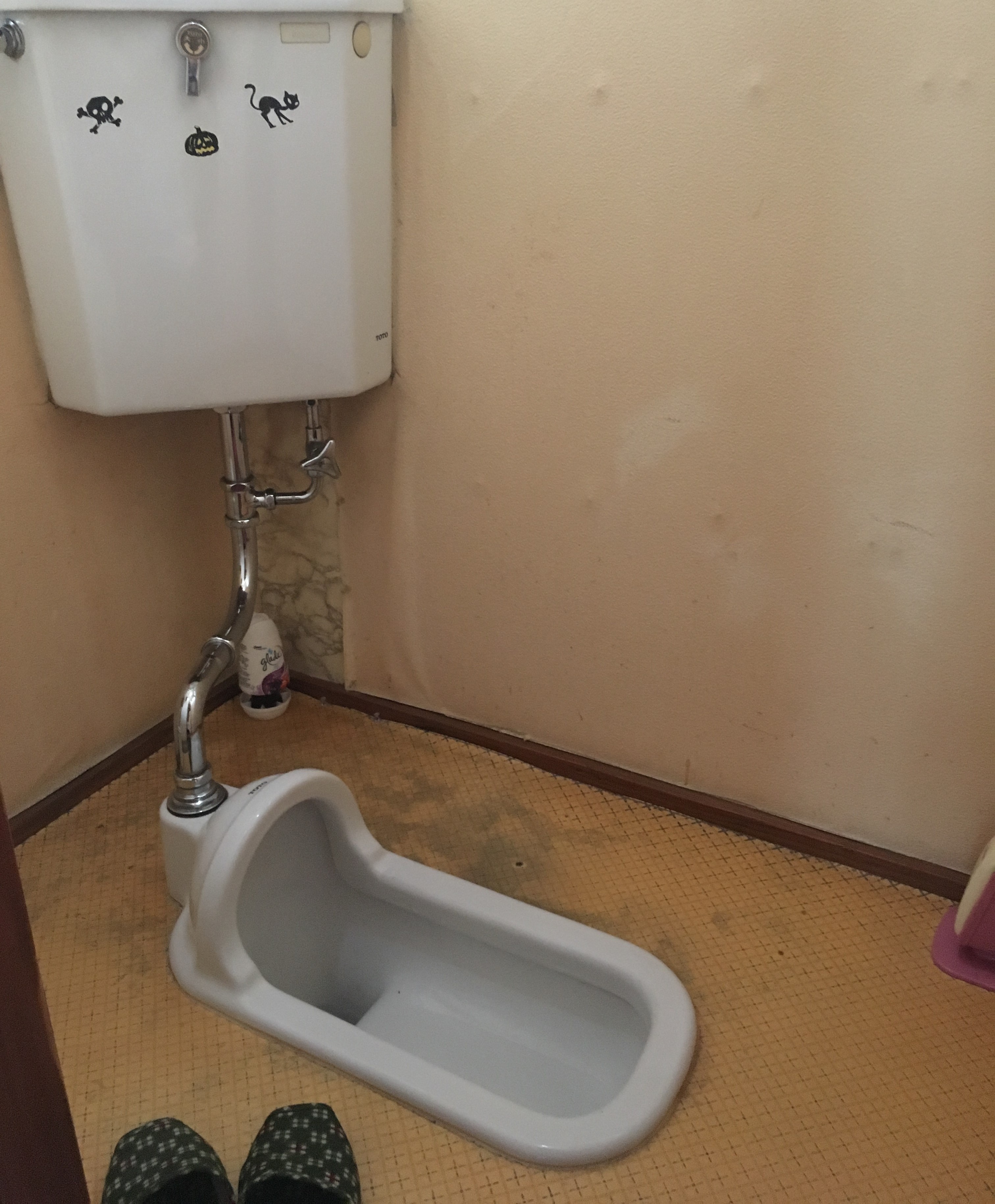 実績
